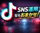 TikTokなどのSNS運用代行をします 低コストでハイクオリティのSNS運用をしていきましょう イメージ1
