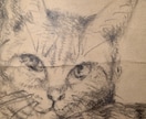 プロの画家がペットの似顔絵描きます 美大を出たプロの画家があなただけのペットの似顔絵描きます。 イメージ3