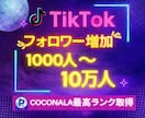 最短納品✨TikTokフォロワーを増加します TikTokフォロワー増加！品質大幅改善！保証付き！ イメージ1