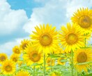 あなたの魅力/強み/才能/発見をお手伝いします 自己理解を深めて楽しく生きるための質問形式カウンセリング♪ イメージ7