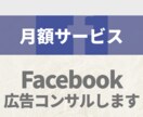 Facebook広告の相談に乗ります 月額3万円で現役マーケターが広告の最適化を手伝います イメージ1