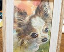 うちの子（ペット）の似顔絵を水彩で描きます お子さまの似顔絵を特徴をとらえて丁寧に水彩画にします イメージ1