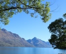 美しいローズオラクルカードで占います NZの自然からお届け◆ソウルメイト・恋愛・結婚・人生 イメージ2