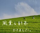 整った佇まいの手書き文字を制作します ペンや鉛筆で書く、完全アナログの手書き文字です。 イメージ6