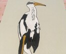 色々使えるイラストなど作ります Popで癒しなイラスト鳥のイラストに強いです。 イメージ6