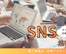 SNSの運用代行をします 集客ならお任せ！意味あるフォロワーを増やします イメージ1