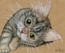 ペット、動物のイラストを色鉛筆で描きます リアルな動物画を色鉛筆で描きます イメージ2