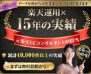 楽天店舗データ分析から実作業まですべて引き受けます 【15年の実績】元楽天ECコンサルタントが専属でお手伝い イメージ1