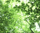 誰にも相談できないことから些細な事まで話し聞きます みなさんの心が軽くなりますようにお話しが聞けたらと思います！ イメージ3
