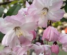 ほっこりする声で癒されてみませんか？お話聞きます 何でもお話聞かせてください◎ほっこりする声で心が軽くなります イメージ2