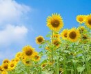 どんなお話でもお伺いします 現役薬剤師として働いております。 イメージ4