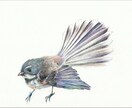 動植物・抽象模様の挿絵やイラストを描きます プロアーティストがあなたにお洒落に目を引くイラストを描きます イメージ1
