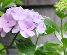 寄り添うカウンセリング｜資格有・守秘義務厳守します カウンセラーの資格を持つうつ病経験者が色々な相談に乗ります！ イメージ1