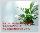 占い好きな貴方なら風水鑑定もきっとワクワクします 運気アップのチャンス! 限定３名様の特別価格☆アドバイス付き イメージ4