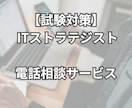 ITストラテジスト試験の相談に乗ります 勉強方法の相談や悩みにお応えして合格をサポートします イメージ1
