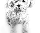 ペットの写真で水墨画を描きます 愛犬、愛猫の写真を水墨画で個性的なアート作品に仕上げます！ イメージ5