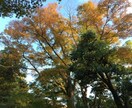 ぽっかり空いたあなたの心の穴を埋めます 子育てがひと段落した途端、ふっと寂しさを感じてしまったママへ イメージ4