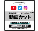 面倒な動画のカット作業、爆速で行います 最短12時間以内納品！お急ぎの方はご相談ください イメージ1