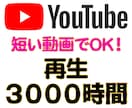 短い動画でOK！YouTube再生時間を増やします 【５分の動画でOK】 / 再生時間５００時間〜 / 収益化 イメージ4