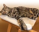 人物やペットの写真を元に、綺麗なイラストを描きます あなたの大切なお写真から、丁寧なイラストを制作いたします。 イメージ3