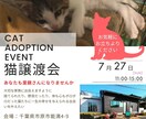 地域密着！保護猫イベントのチラシお作りします “会いに行きたい”と思ってもらえるデザインを。 イメージ2