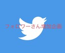 日本人のTwitterフォロワーさん増やします 日本人のみ！私の企画に巻き込む形でフォロワーさんを増加！ イメージ1