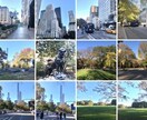 フォロワー7万人1日2回、1ヶ月毎日ツイートします ブログ、Youtube、メルマガ、お店、キャンペーン、探し犬 イメージ4