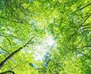 21歳大学生が相談・悩み・雑談相手になります しっかりと傾聴し、一人一人に向き合います。 イメージ1
