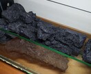 滝のあるアクアテラリウムをつくります イモリを飼育したい方や、苔に興味のある方へ イメージ7