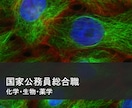 国家総合職化学生物薬学 専門択一解答解説作成します 国家総合職　化学・生物・薬学区分現役合格者が答えます。 イメージ1