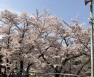 なんでも話を聞きます なんの資格もない、ただのオジサンがなんでも話をききます！ イメージ1