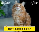 お好きな写真や画像を切り抜きします 即日対応可！時間がかかる毛髪などもキレイに仕上げます！ イメージ2
