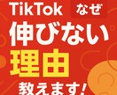 フォロワー19万人の私がTikTokコンサルします 今だけ限定価格！有名になりたい人（個人）向け！ イメージ1