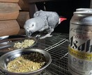 24時間不安な気持ちのご相談お受けします 相談窓口が繋がらない時にもどうぞ。 イメージ4