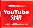 YouTubeチャンネルの分析をします SNSのプロがあなたのYouTubeチャンネルを分析！ イメージ1
