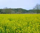 眠れない夜のお供に✨️お話聞きます 心地よく眠れるまで穏やかにゆったりお話しませんか？ イメージ10