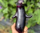 土壌医の家庭菜園のコツ！ご相談に乗ります 〜土壌医が教える〜『理屈が分かると楽しい！家庭菜園のコツ』 イメージ2
