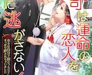 小説表紙イラストを女性イラストレーターが制作します 商業作品クオリティのイラストで自分の作品を彩ってみませんか？ イメージ7