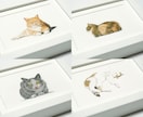 大切なペットとの思い出を鉛筆・色鉛筆画にします 大切な家族との幸せな時間を、温もりある作品として残します イメージ9
