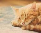 2週間で4kg痩せられる方法教えます 何かと露出の多くなる夏に短期間で痩せたい人へ イメージ1
