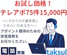 初回限定！テレアポ75件　お試し料金で承ります 初めての方限定！低コストで成果検証！電話営業代行お試しプラン イメージ1