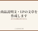 商品説明文・LPの文章を作成ます 良い商品なのに伝わらない、その説明文を作ります イメージ1