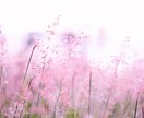 ミドル世代のあなたへ✨打ち明けてみて。全て聞きます 悩みから、ただのおしゃべりも☺安心してどんな事も話してみて イメージ7