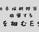 外資系IT企業の新卒面接官が ES を添削します インターン/中途採用も対応可ですのでご相談ください イメージ1