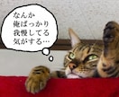 彼女の愚痴、奥さんの愚痴、聞きます イライラ＆モヤモヤを発散して、スッキリしましょう！！ イメージ2