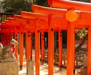 転職鑑定 魂の進路を霊視で照らします もう迷わない。今のあなたに最もふさわしい職場を霊的に導きます イメージ4