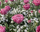言いたい時に言える相手になります 心のデトックス。その日のモヤモヤその日のうちに。 イメージ1
