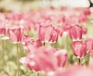 あの人の気持ちに高次からアクセスします ✿あなたが望む更に深い関係を引き寄せ✿ イメージ2