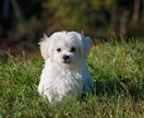 悩みを少しでも解消させられたらとおもいます あなたが悩んでる時、いつでも思い出してもらえる存在でいたい イメージ4