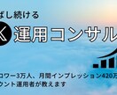 X運用コンサルします 正しい知識と情報で伸ばし続ける運用を！ イメージ1